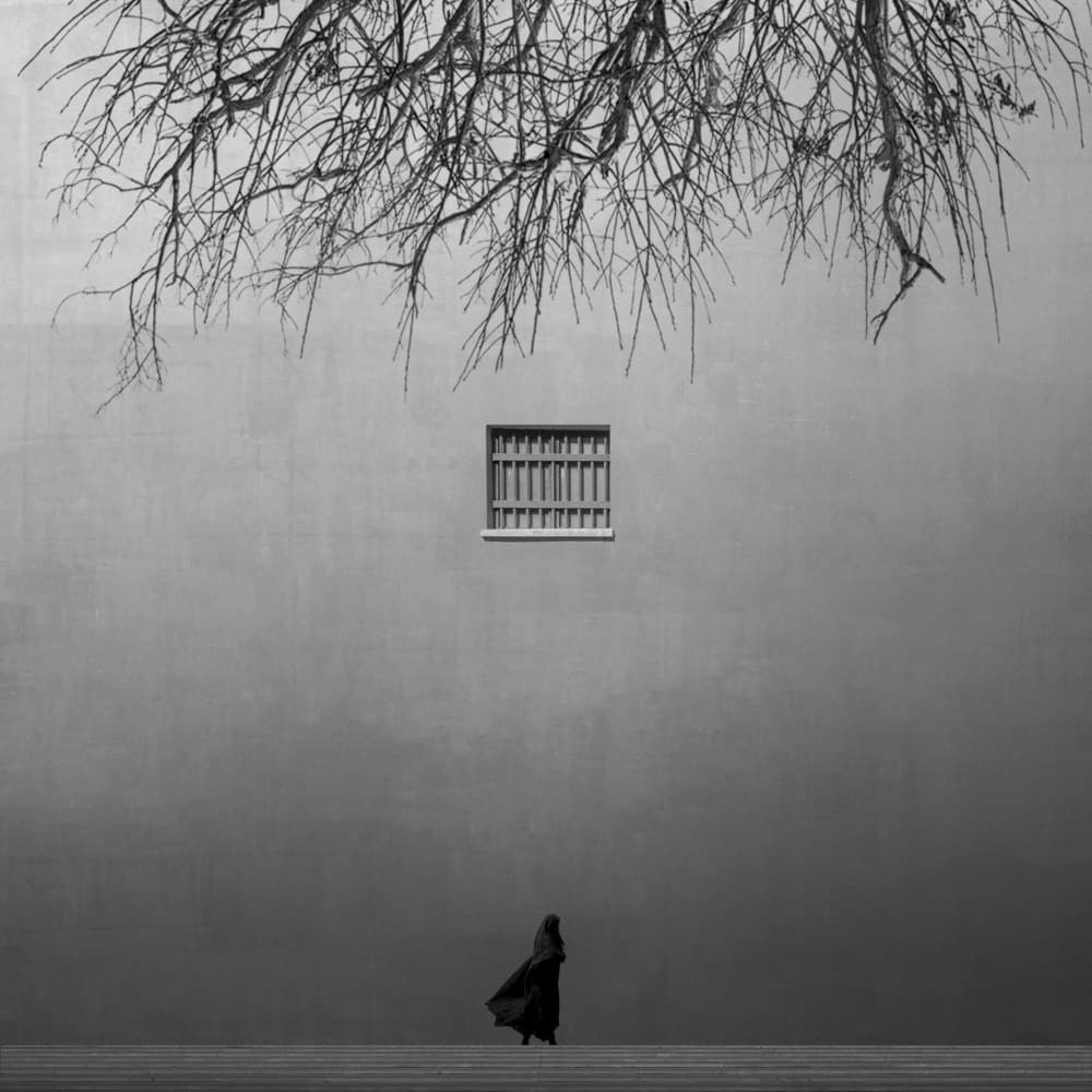 Bare Branches Urban Solitude by alizolghadri93 — canvas wall art