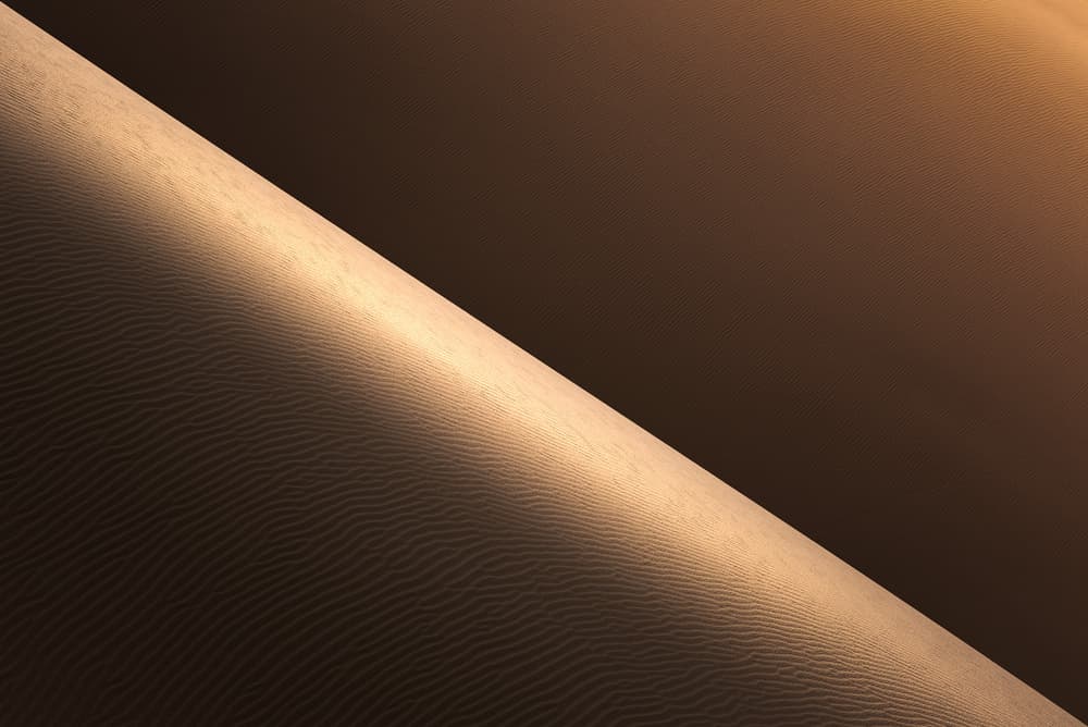 Warm Desert Light by Majid Behzad — canvas wall art