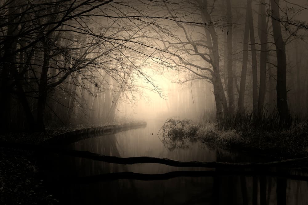 Misty Forest River by Dmitry Kulagin — canvas wall art