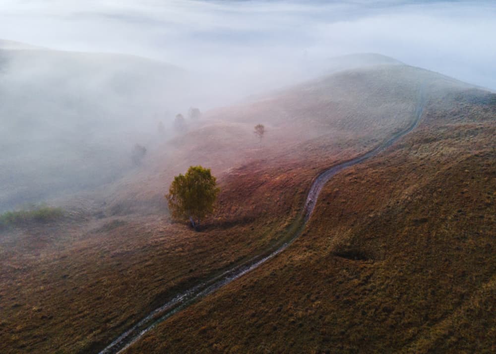 Misty Autumn Path by Ovidiu Satmari — canvas wall art