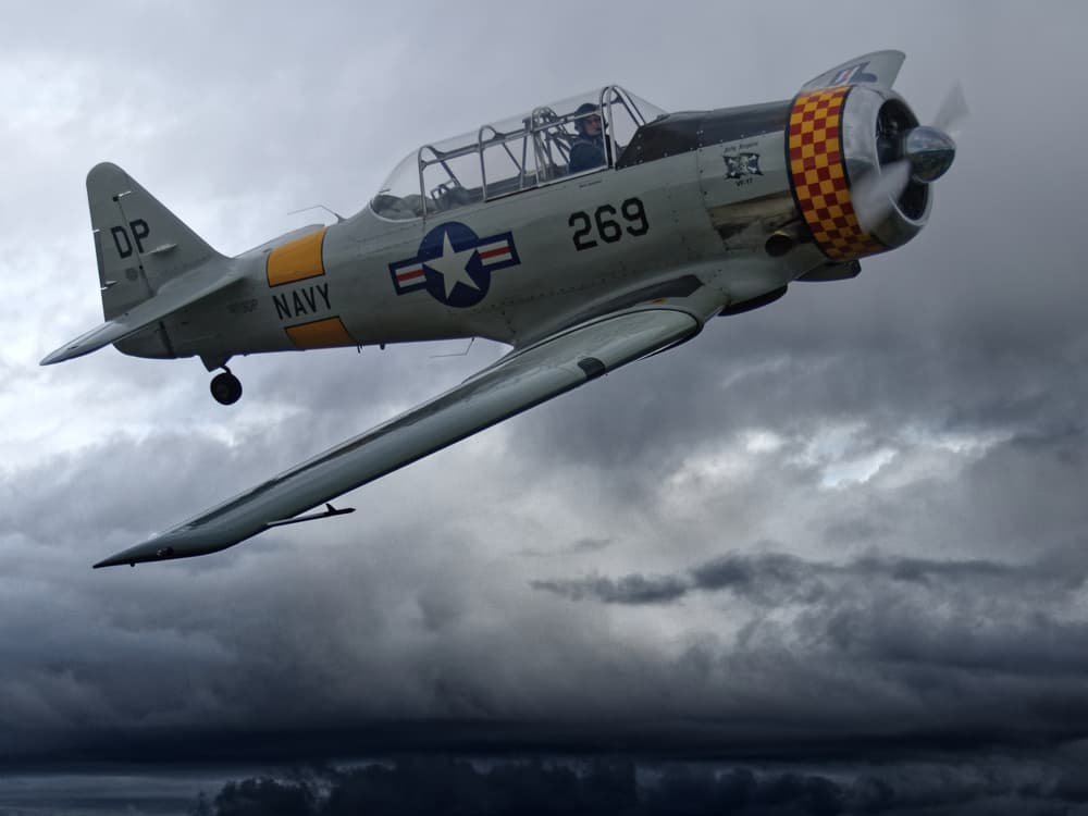 Warbird in Stormy Sky by Thomas McCleave — canvas wall art