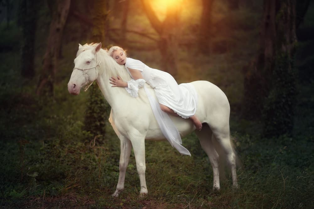 Ethereal Horse Dream by Paulo Dias — canvas wall art