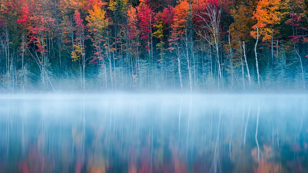 Autumn Mist Reflections by John Fan — canvas wall art