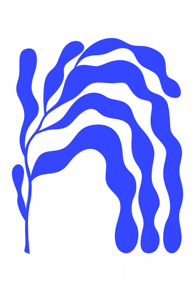 Wavy Blue Seaweed by jay stanley — canvas wall art