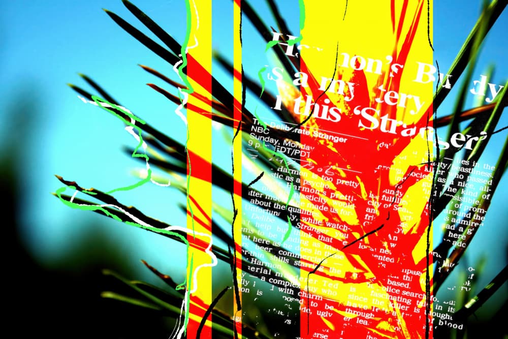 Pine Needles Abstract by Rafal Kulik — canvas wall art