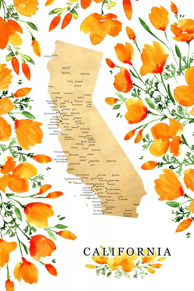 California Poppy Map by Rosana Laiz Blursbyai — canvas wall art