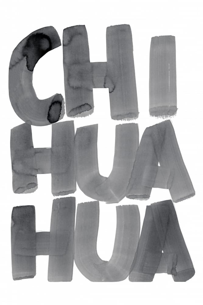 Watercolor Chihuahua Typography by cartissi — canvas wall art