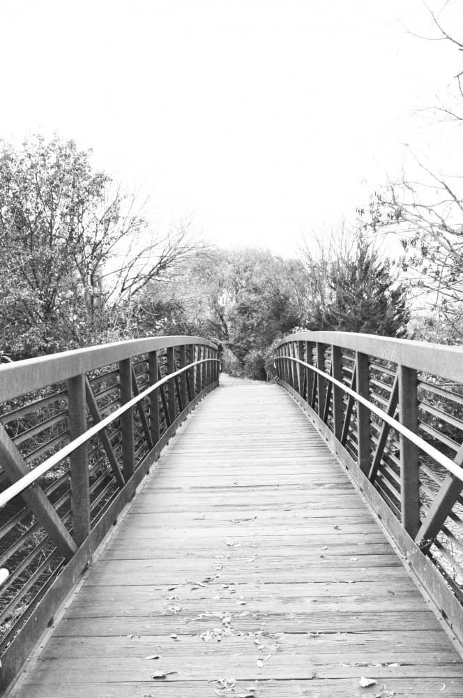 Peaceful Forest Bridge by Jemma Morris — canvas wall art