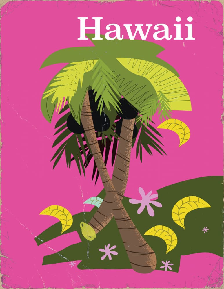 Hawaii Tropical Palms by Nicholas — canvas wall art