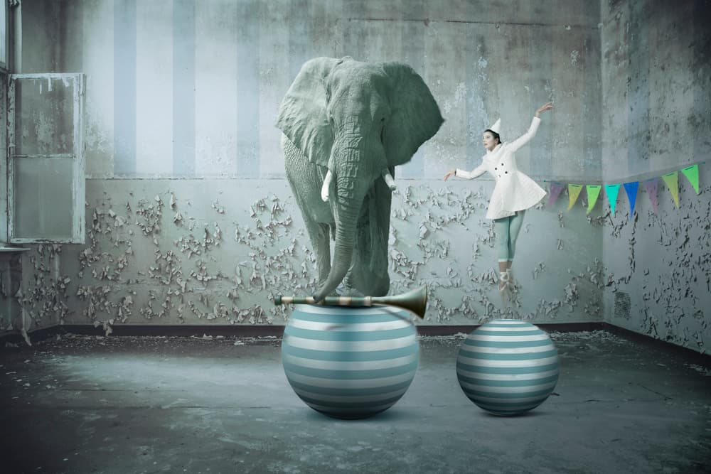 Whimsical Circus Dream by Christine von Diepenbroek — canvas wall art