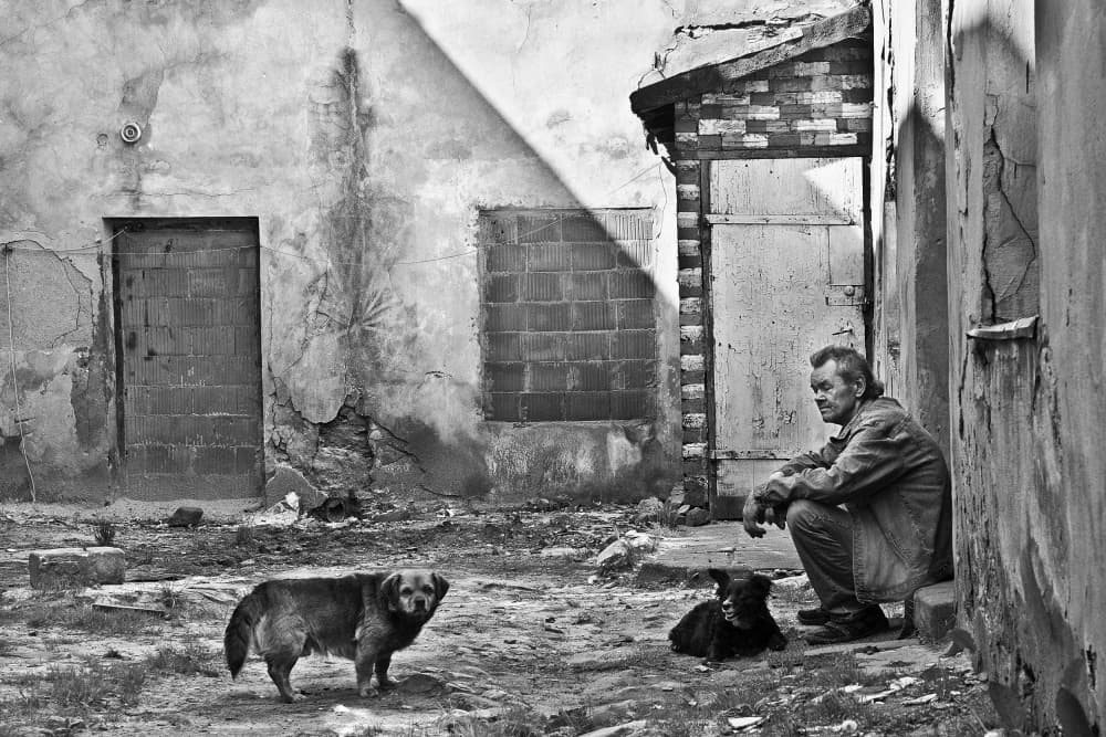 Urban Man and Dogs by Agnieszka Jankowska — canvas wall art