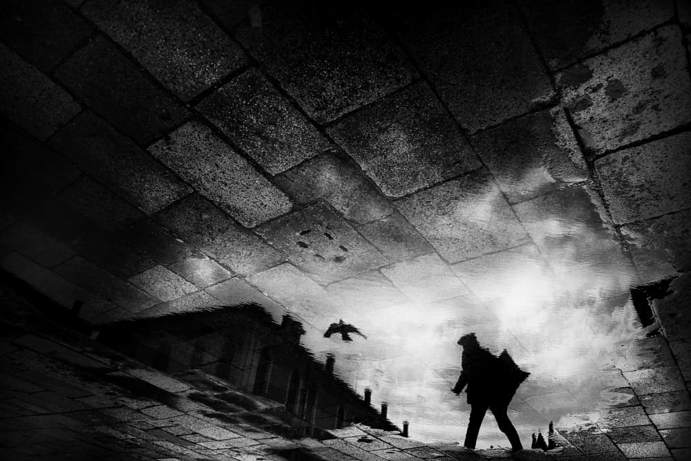 Walking in Reflection by Damijan Sedevcic — canvas wall art