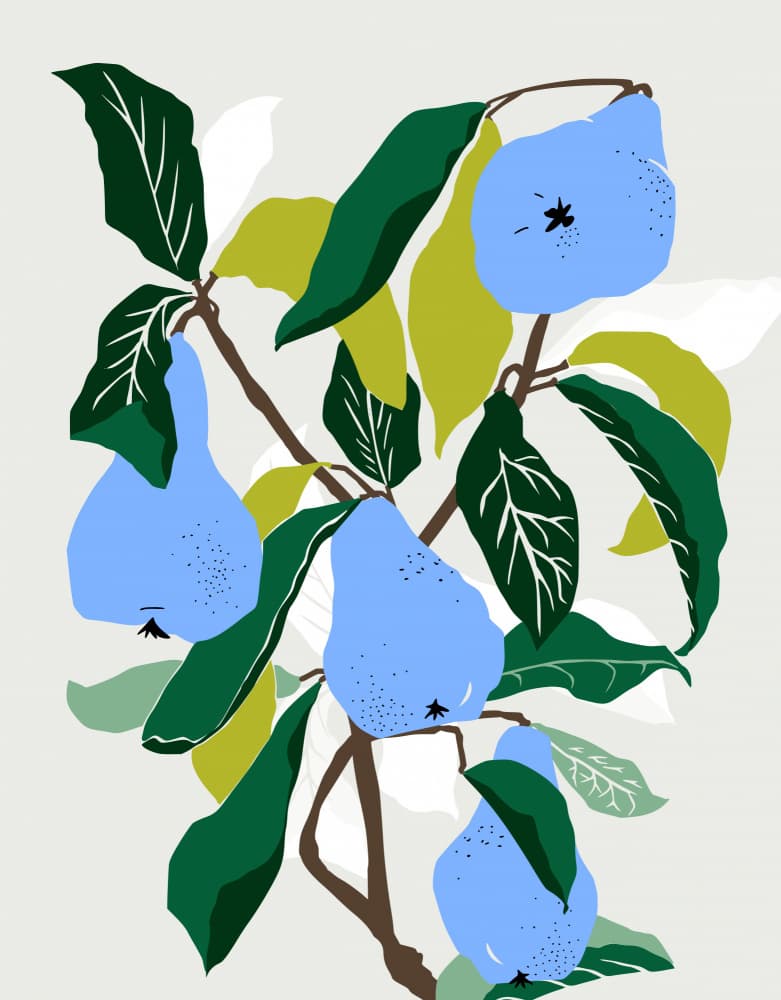 Botanical Blue Pears by Annick — canvas wall art