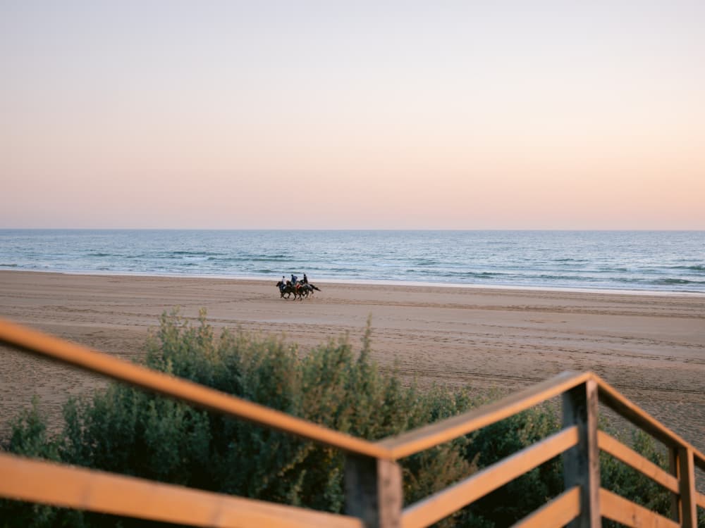 Horses Running on Taghazout Beach by Raisa Zwart — canvas wall art
