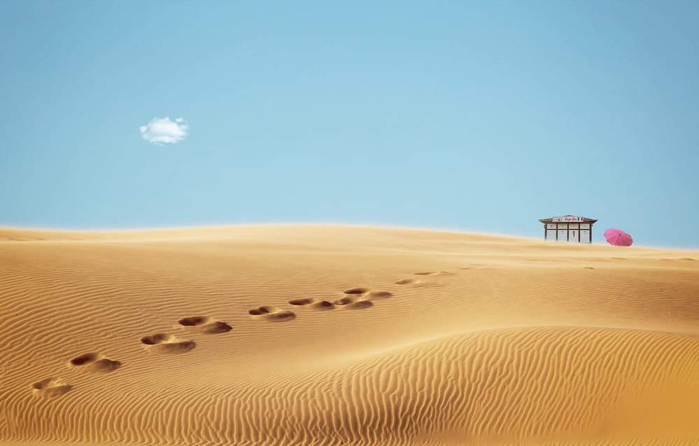 Footprints to Desert Oasis by Uschi Hermann — canvas wall art