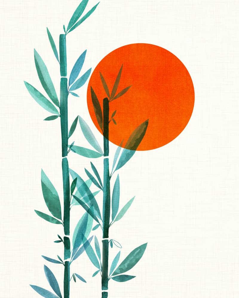 Bamboo Sunset by Kristian Gallagher — canvas wall art