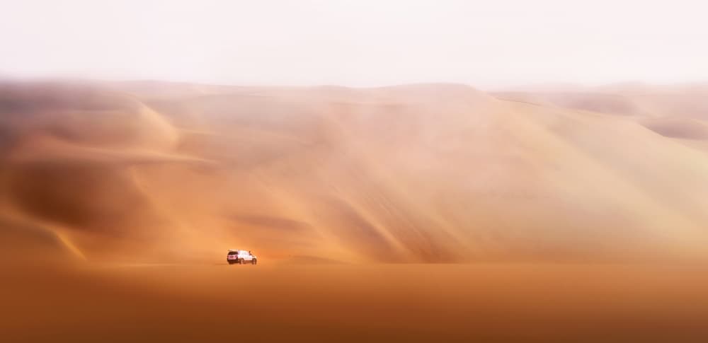 Golden Dune Adventure by Nichole Chen — canvas wall art