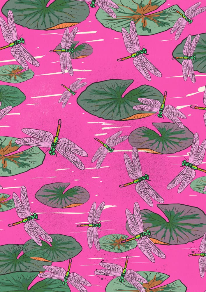 Pink Dragonflies On Water Lilies by Nicholas — canvas wall art