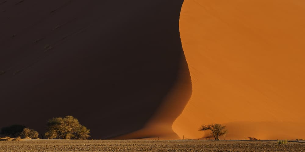Golden Desert Dune Shadow by Erik Proper — canvas wall art