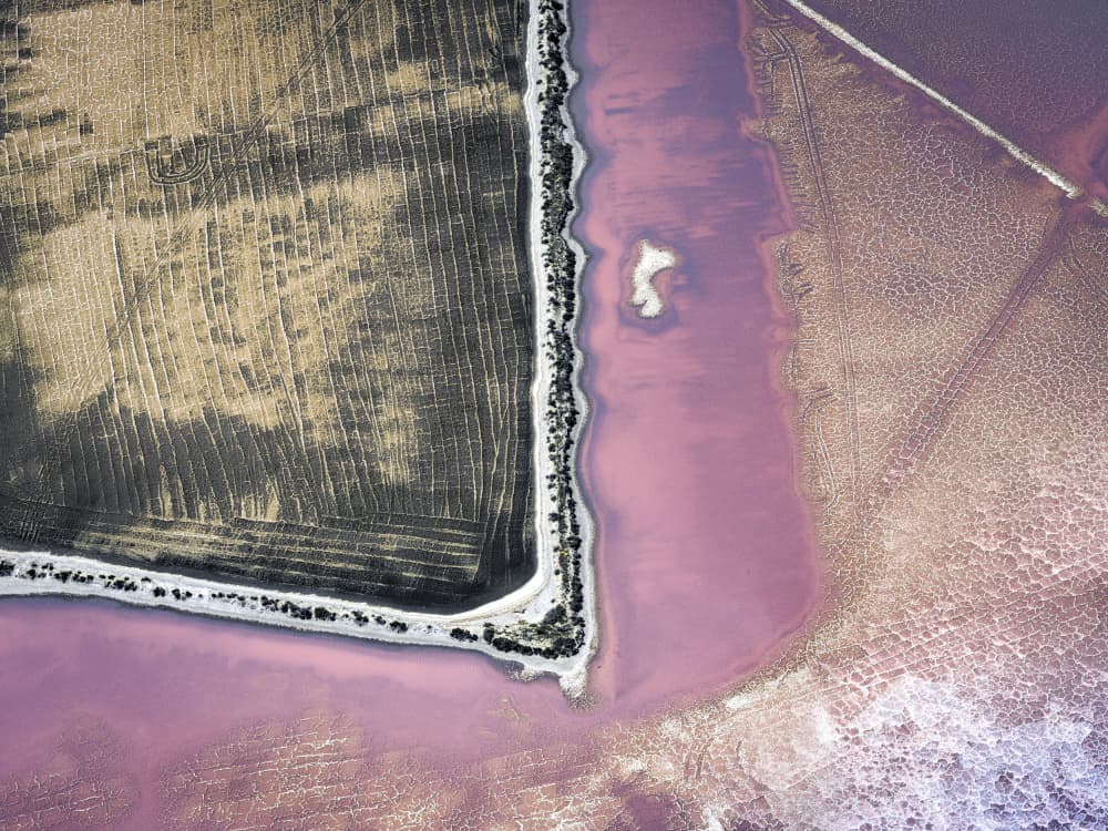 Pink Lake Landscape by Robert Bolton — canvas wall art