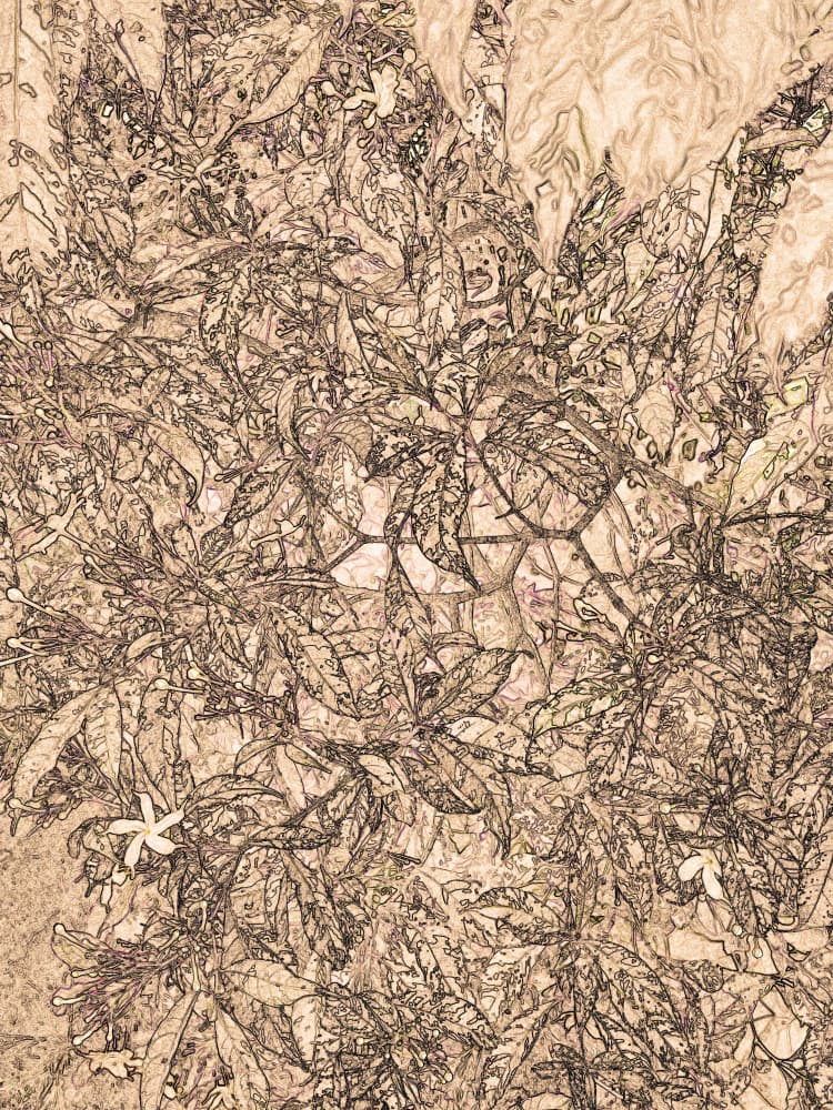 Sepia Botanical Sketch by Santhosh ch — canvas wall art