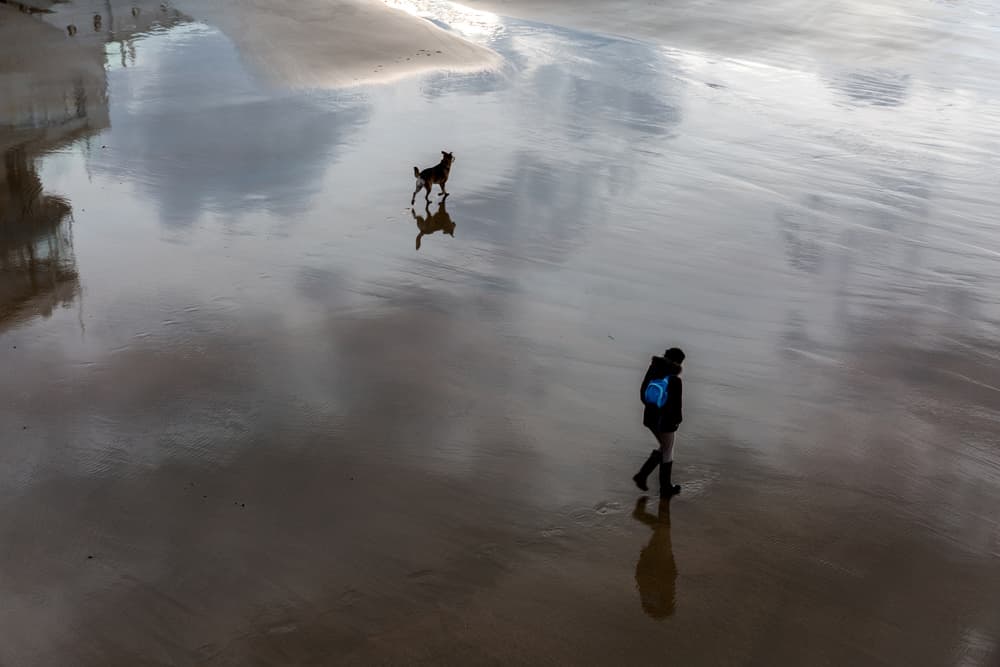 Beach Walk Reflections by Jois Domont ( J.L.G.) — canvas wall art