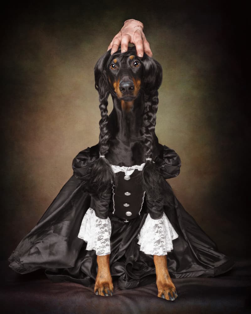 Noble Dog in Victorian Dress by Noa Nick — canvas wall art