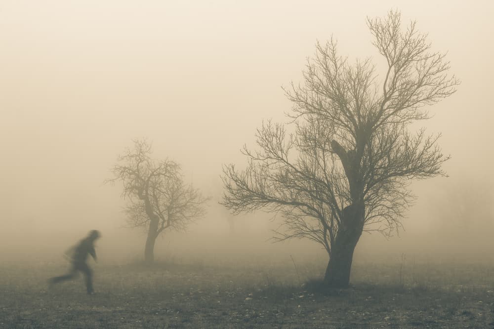 Running Through Fog by Riccardo Lucidi — canvas wall art
