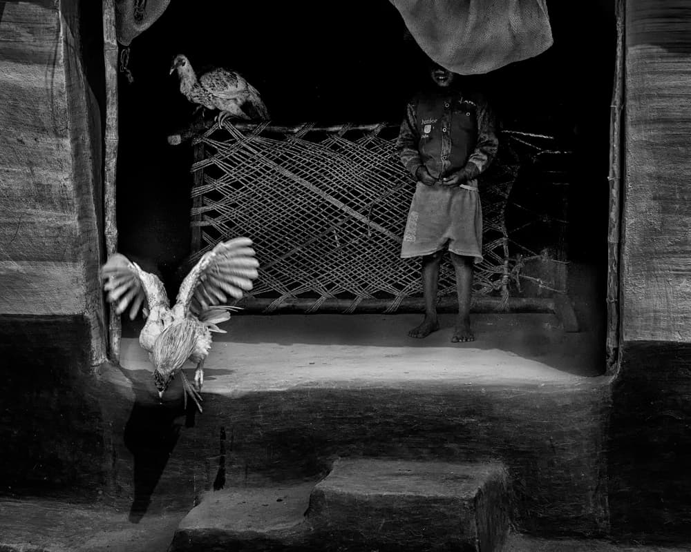 Boy and Flying Chicken by shirshendu — canvas wall art
