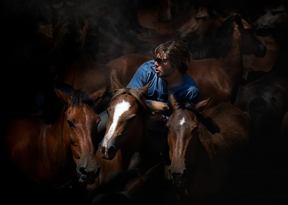 Man Among Horses by Santiago Pascual Buye — canvas wall art