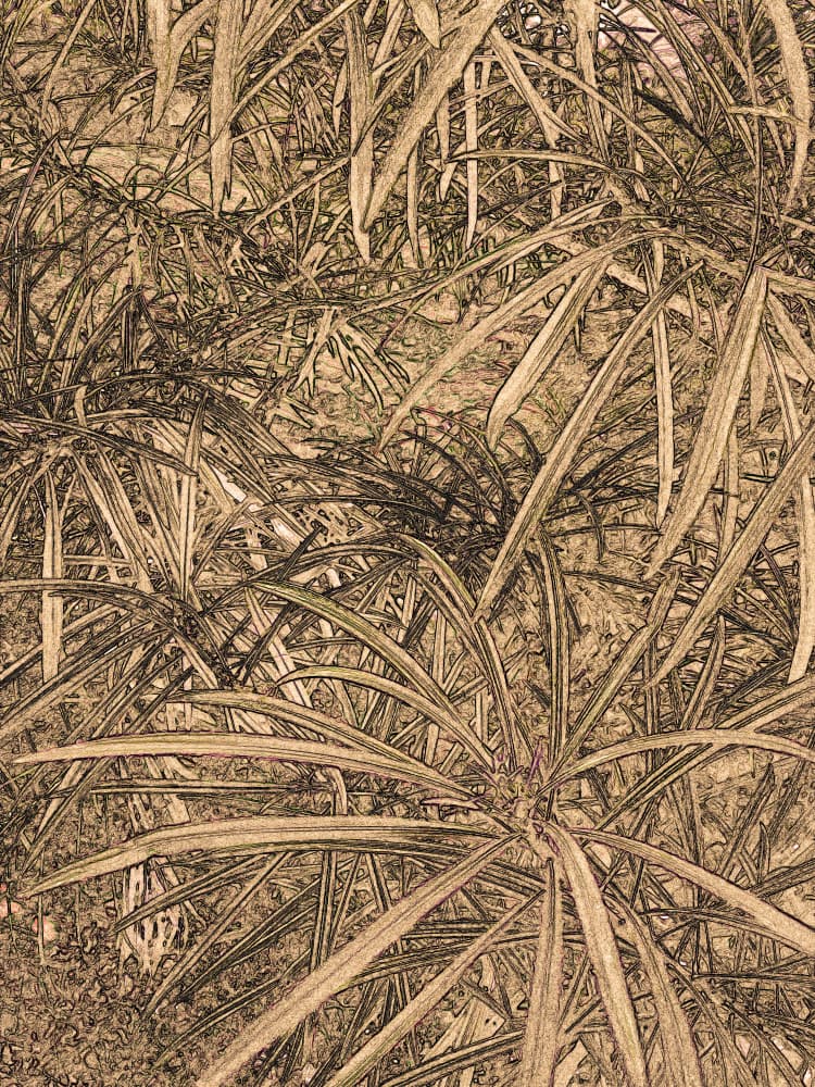 Dense Leafy Pattern by Santhosh ch — canvas wall art