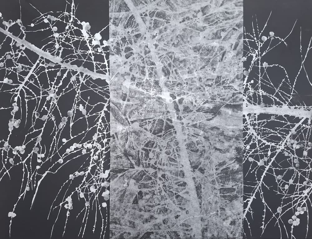 Abstract Winter Branches by Alex Walsh — canvas wall art