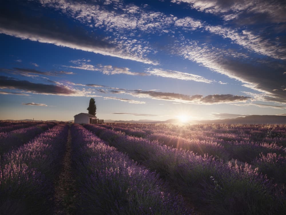 Lavender Farmhouse Sunset by Rostovskiy Anton — canvas wall art