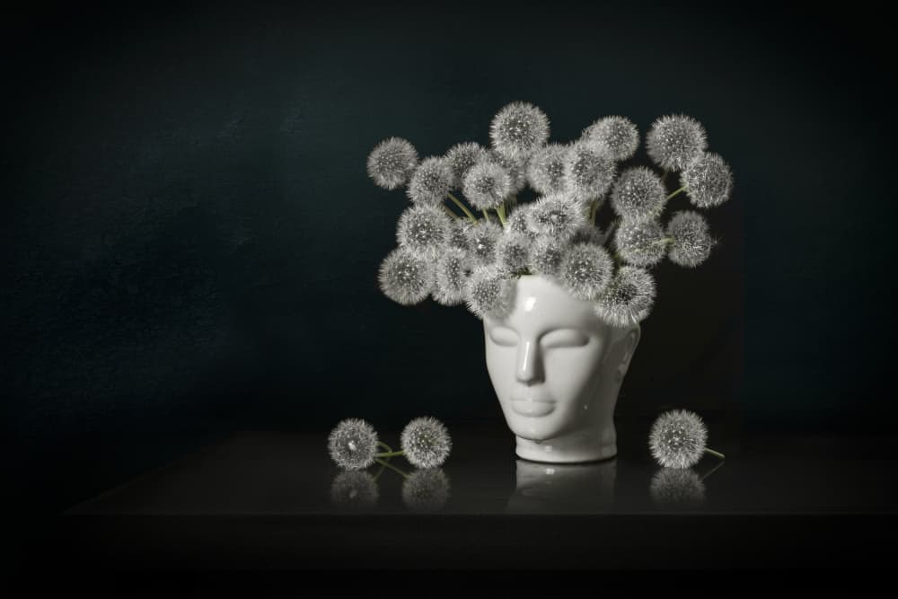 Dandelion Head Vase by Juan Antonio Palacios — canvas wall art