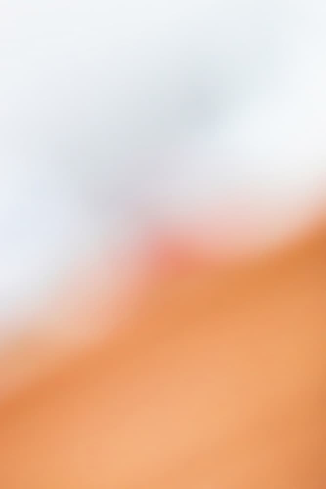 Blurred 6 by Mareike Böhmer — canvas wall art