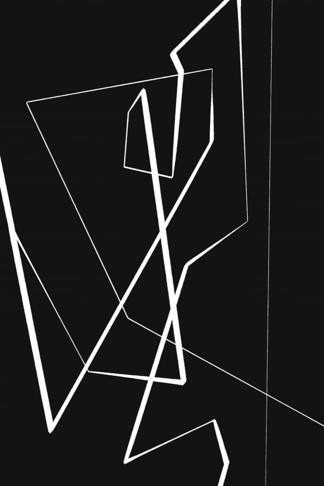 Line Maze Illusion by Treechild — canvas wall art