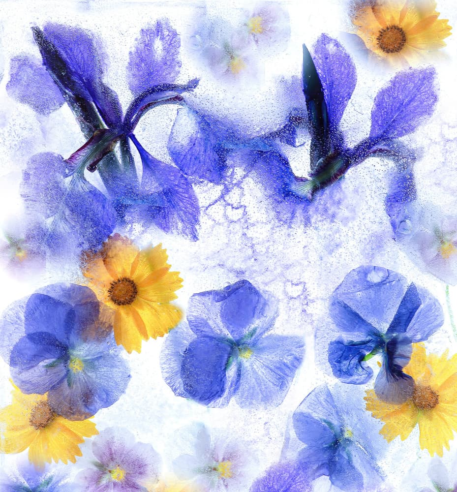 Frozen Floral Mix by Catherine W. — canvas wall art