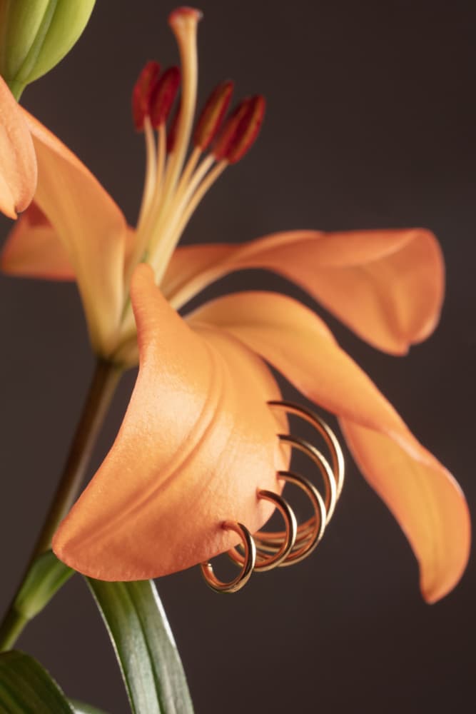Orange Lily Gold Rings by Julia Ramiro — canvas wall art