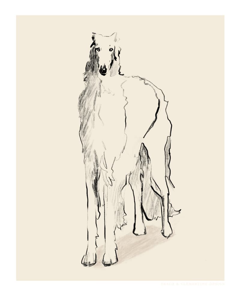 Borzoi Russian Wolfhound Pandc by Jenny Liz Rome — canvas wall art