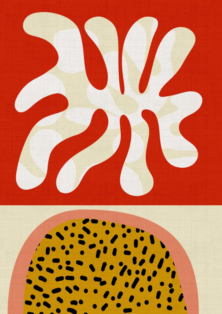 Mid Century Cut Outs by Ana Rut Bre — canvas wall art