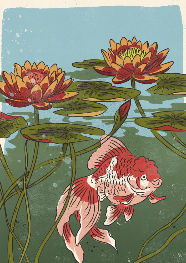 Goldfish Lily Pond by Nicholas — canvas wall art