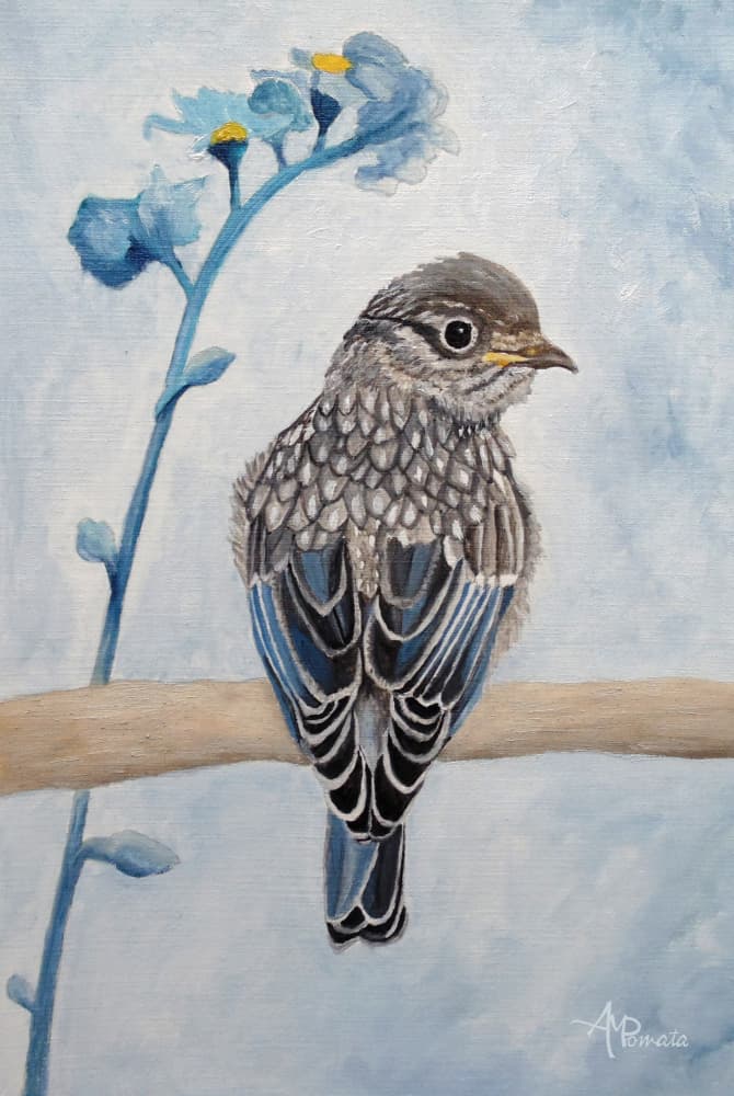 Gentle Bluebird Fledgling by Angeles M. Pomata — canvas wall art