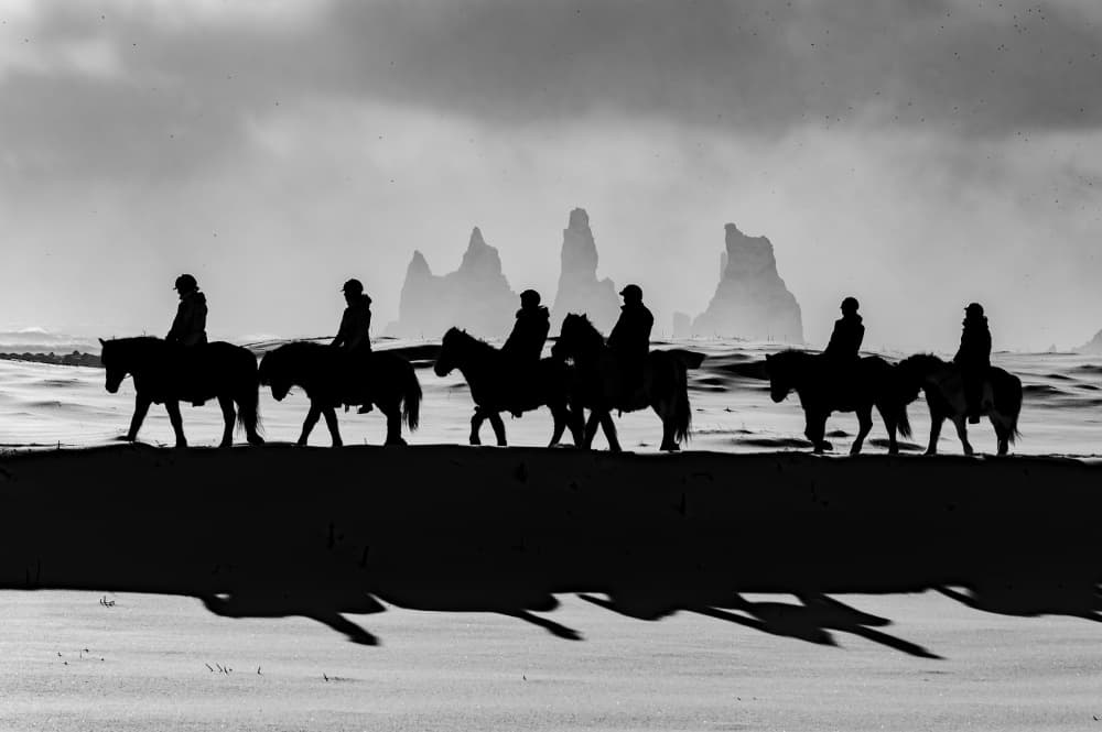 Icelandic Horse Journey by Massimo Tamajo — canvas wall art