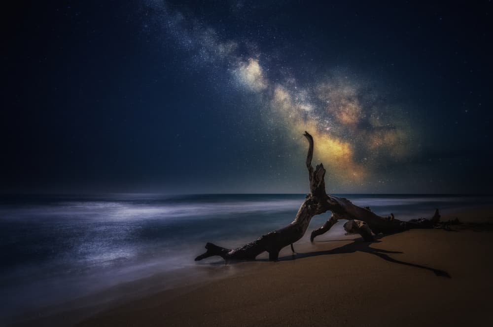 Milky Way Beach Night by Albena Markova — canvas wall art
