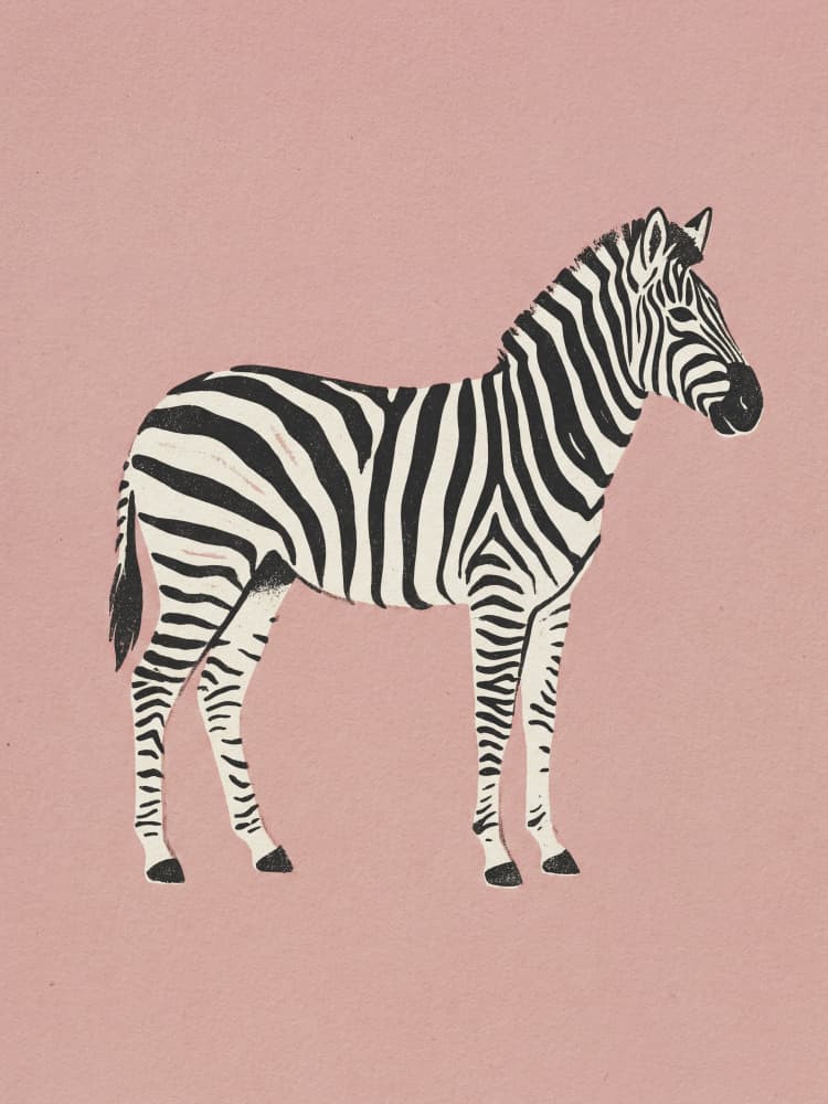 Zebra Pink Profile by Andreas Magnusson — canvas wall art