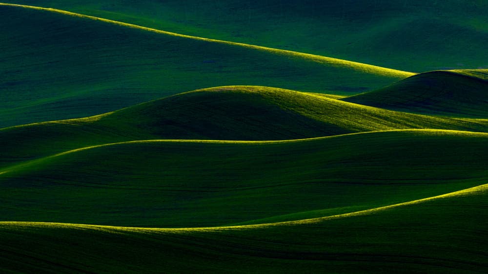 Sunlit Green Waves by Yanny Liu — canvas wall art