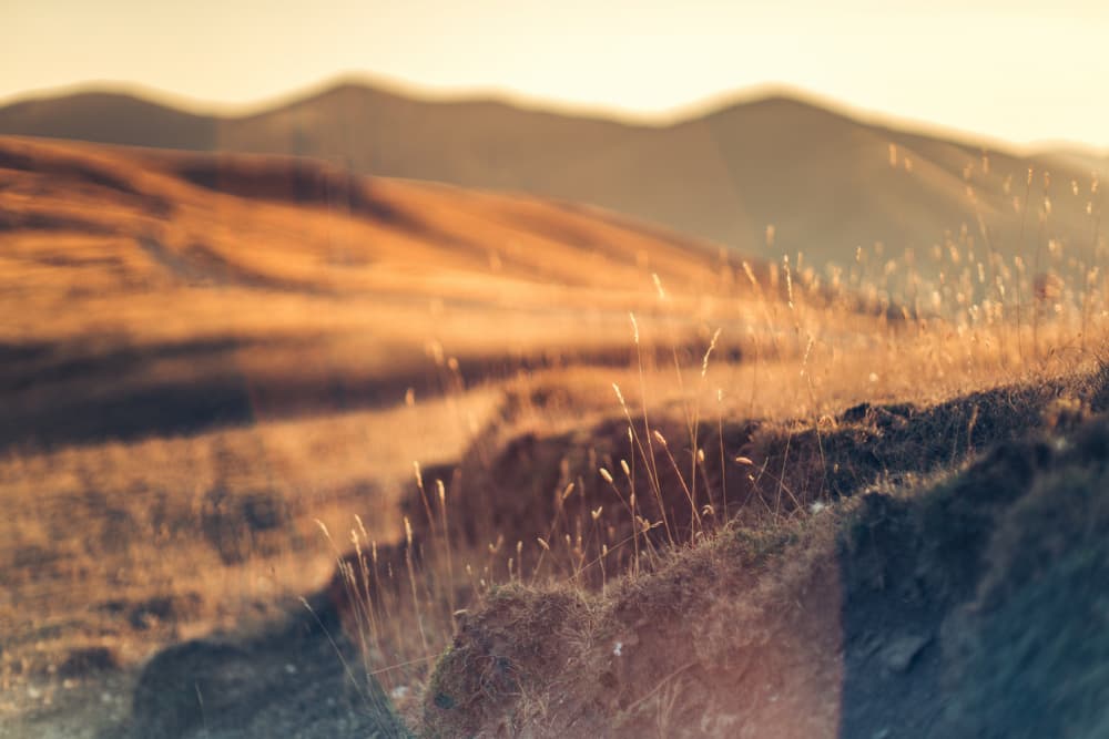 Golden Hour Hills by Javier Pardina — canvas wall art