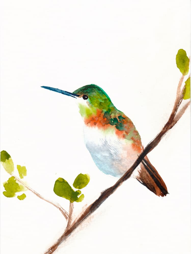 Emerald Hummingbird Perch by Christine Lindstrom — canvas wall art