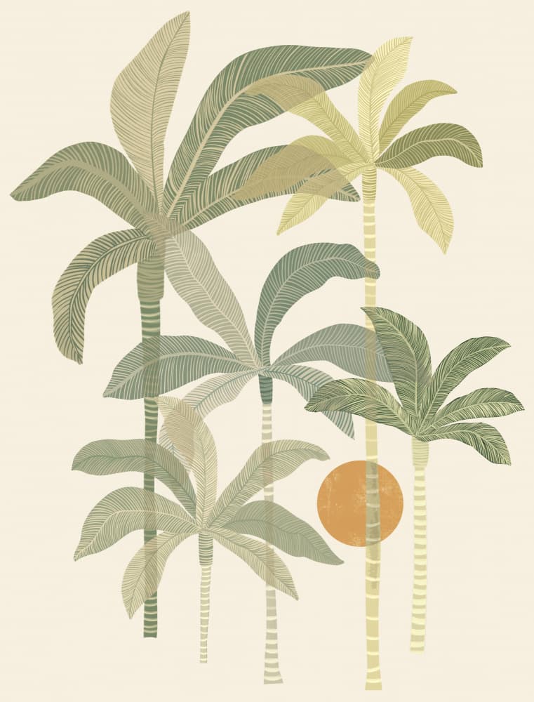 Tropical Palm Sunset by Kristian Gallagher — canvas wall art