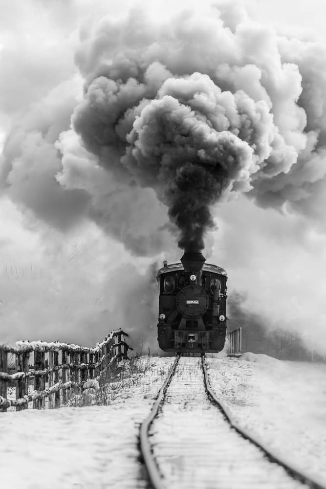 Steam Train In Winter by Sveduneac Dorin Lucian — canvas wall art